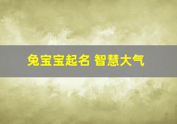 兔宝宝起名 智慧大气